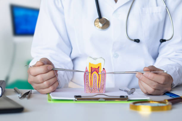 Best Urgent Dental Care for Toothache in Freeburg, IL